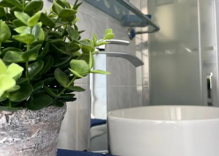 公寓 Casa Ferruccio - Parking - Air Conditioning - Wifi 圣雷默